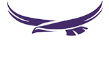 purple hawk logo